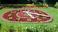 Flower Clock showing flowers and a park