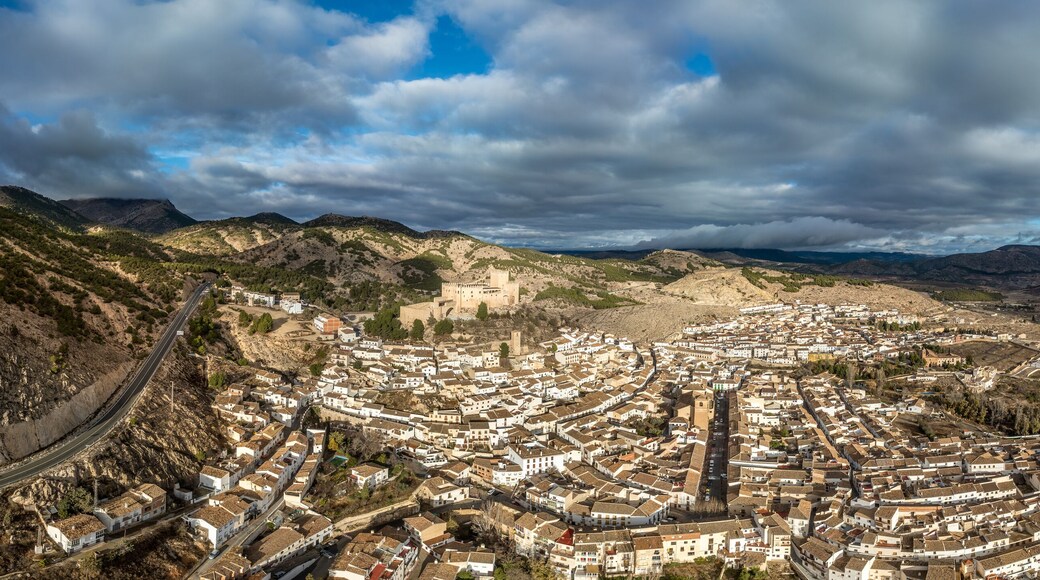 ๋ฒจ๋ ์ฆ ๋ธ๋์ฝ