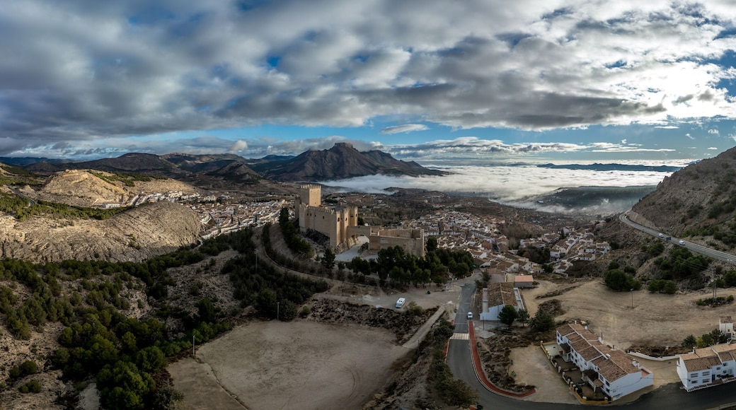 ๋ฒจ๋ ์ฆ ๋ธ๋์ฝ