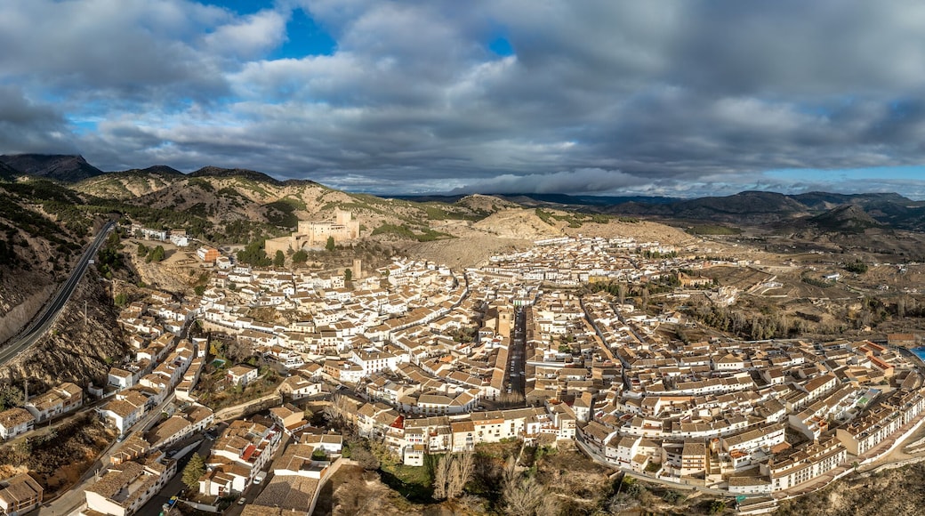 ๋ฒจ๋ ์ฆ ๋ธ๋์ฝ