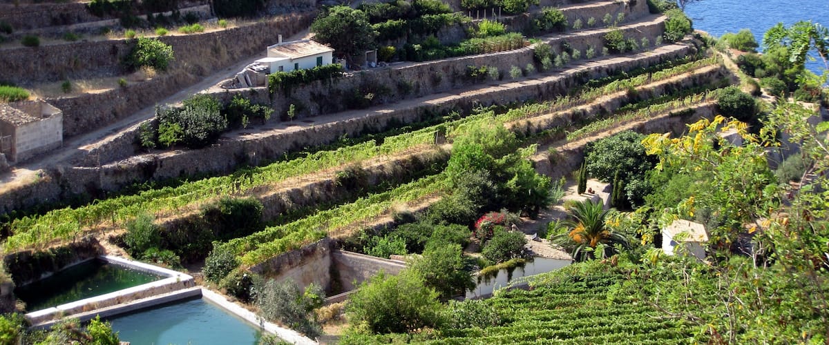 Vigneti a terrazza, un muro in pietra e uno specchio d'acqua.