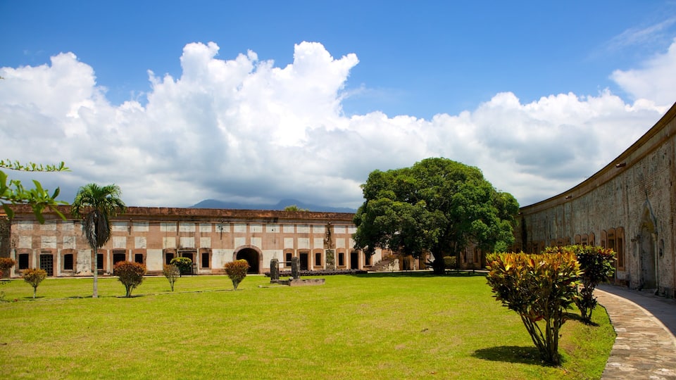 A historic courtyard with a large tree, a palm tree, and a stone pathway.