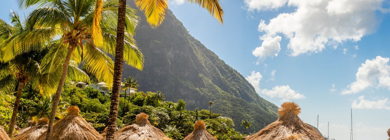 A beach with lounge chairs, palm trees, thatched umbrellas, and a mountain in the background.