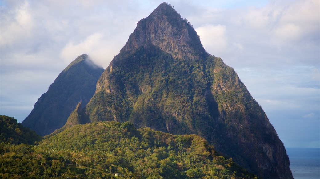 グロス ピトン ネイチャー トレイル