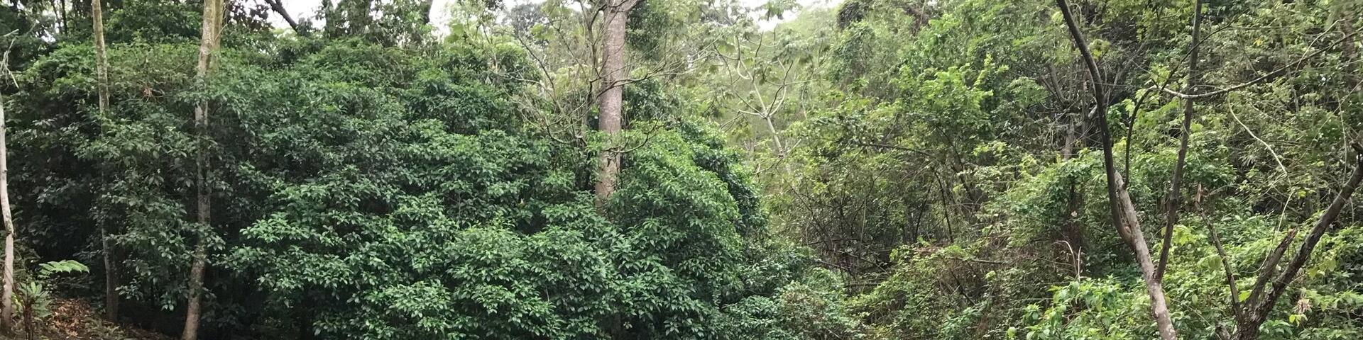 Taking a bath at the pools overlooking the surreal whiteish blue colors of the river’s sulfurous water, among the lush tropical sceneries of Tapijulapa, Tabasco #river #lifeatexpedia #mexico #tabasco #green #red