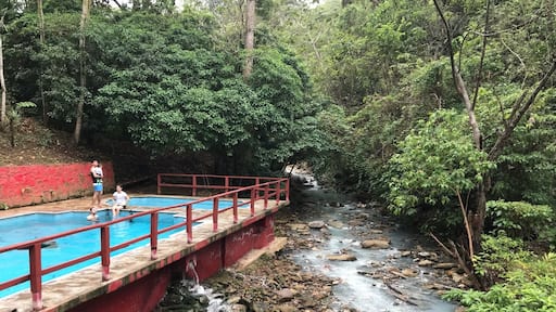 Taking a bath at the pools overlooking the surreal whiteish blue colors of the river’s sulfurous water, among the lush tropical sceneries of Tapijulapa, Tabasco #river #lifeatexpedia #mexico #tabasco #green #red