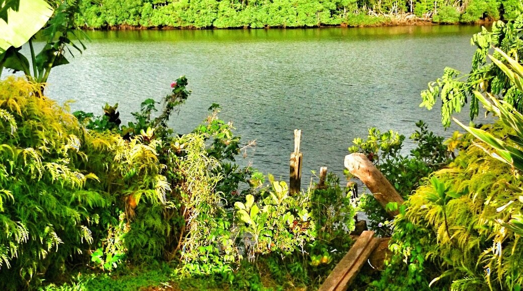 Receding storm clouds over the Dreketi River, near Dreketi in Vanua Levu. It's a pretty rural area, and you can do a home stay with the local Anglican Church.