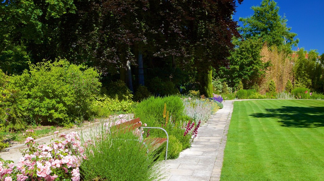 Naturhistorisk museum fasiliteter samt hage