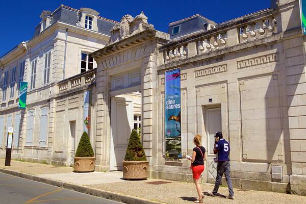 Musée d\'Histoire Naturelle såvel som et par