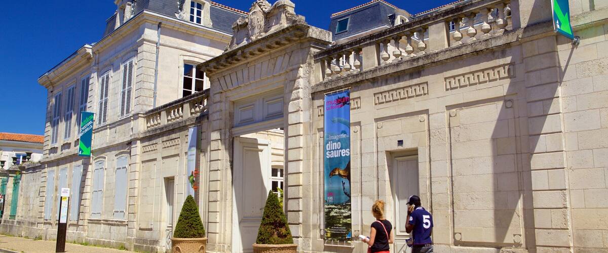 A historic building with classical architecture, a green arrow sign, and a banner advertising a dinosaur exhibition.
