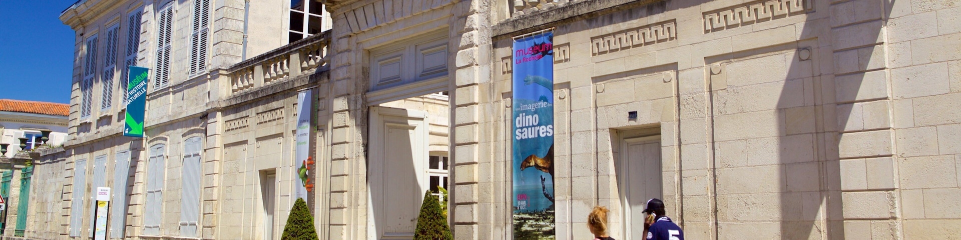 A historic building with classical architecture, a green arrow sign, and a banner advertising a dinosaur exhibition.