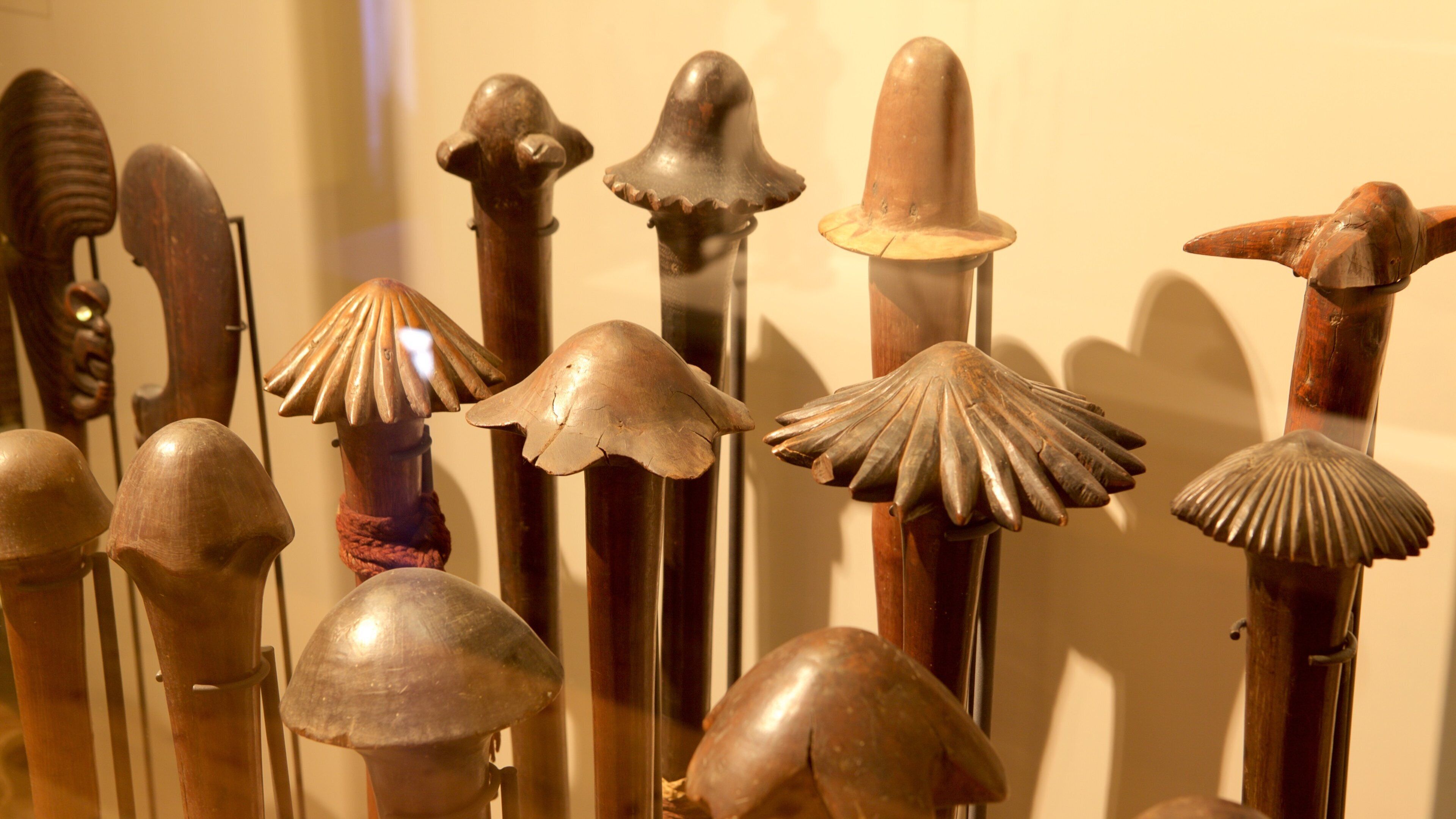 Natural History Museum