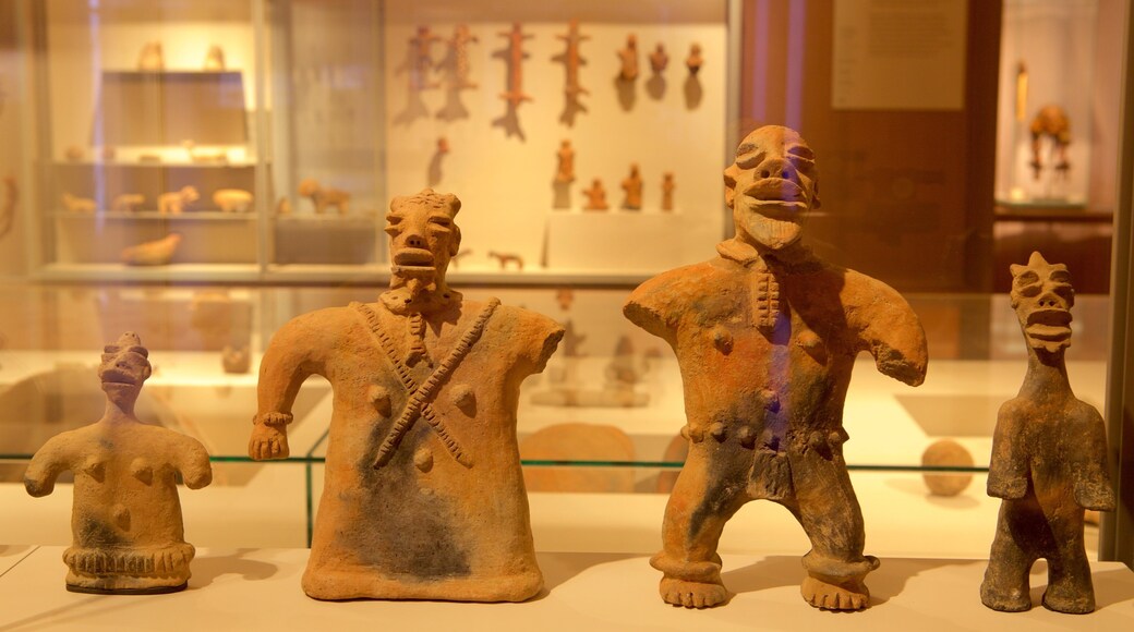 Luonontieteellinen museo