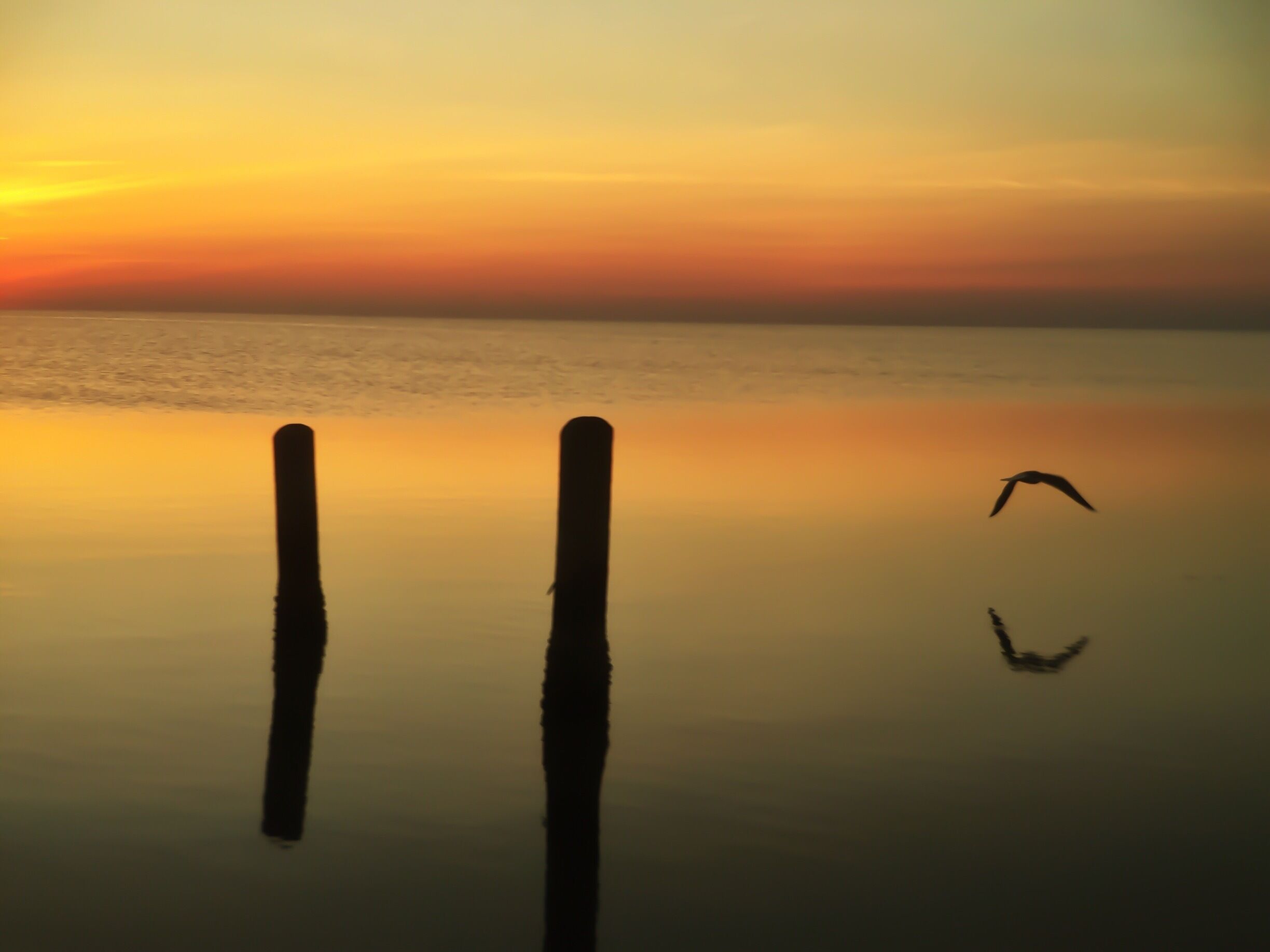 Hot springs! $18 gets you access to 17 different pools. Cute area in the mountains with a train that toots by every once in a while. Yep. Cute. #hotsprings #colorado #travel #waterlust