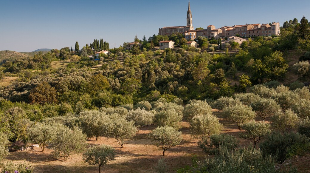 A hillside village with a prominent church featuring a tall bell tower, surrounded by olive groves and dense trees.