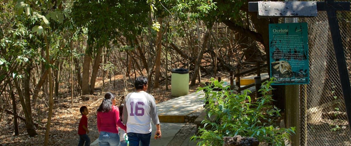 Miguel Alvarez del Toro Zoo showing zoo animals as well as a family