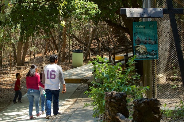 Miguel Alvarez del Toro Zoo showing zoo animals as well as a family