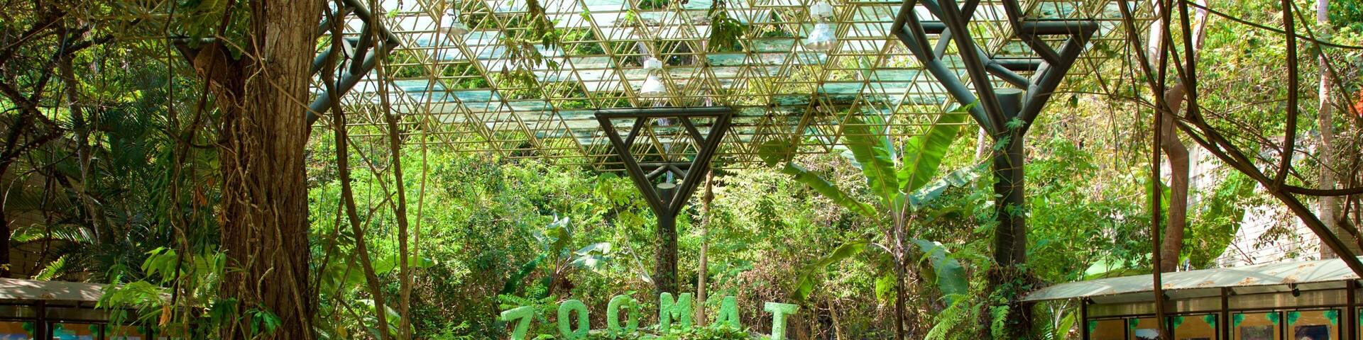 A lush indoor garden with a wooden fence, a stone pathway, and a sign reading "ZOO".