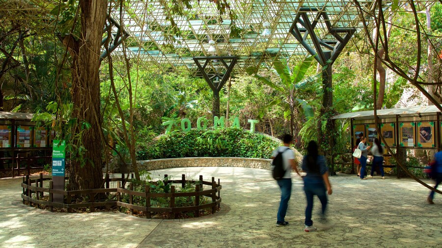 Miguel Alvarez del Toro Zoo showing interior views and a garden as well as a couple