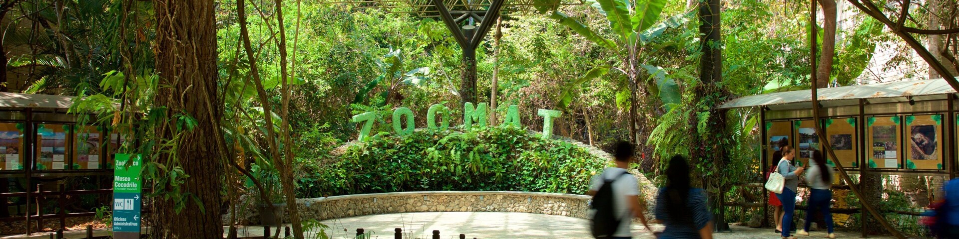 Um jardim interno exuberante com cerca de madeira, caminho de pedra e uma placa com a inscrição 'ZOO'.