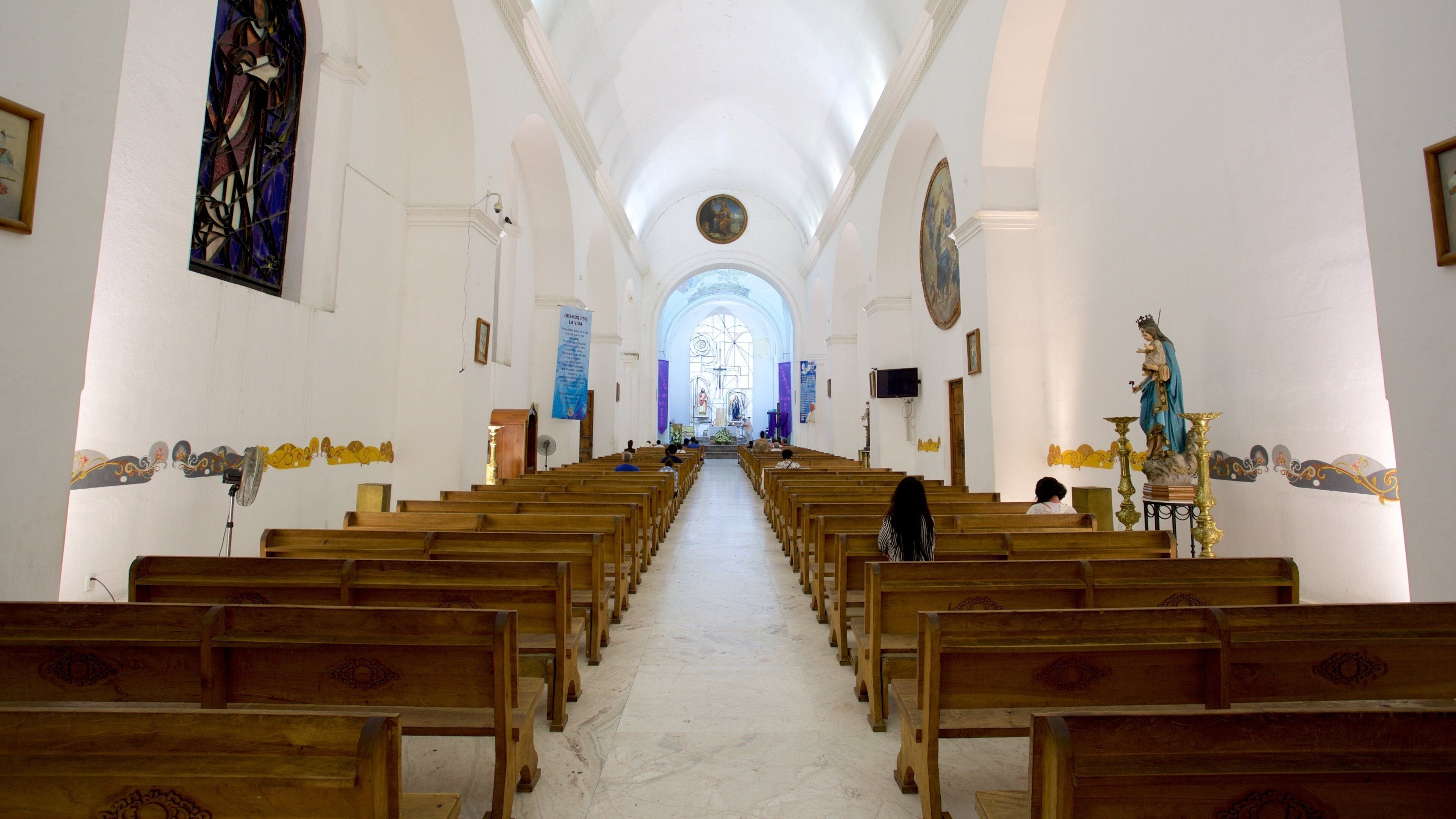 Cathédrale San Marcos qui includes église ou cathédrale et vues intérieures