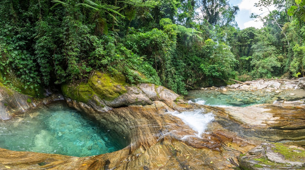 Beautiful view to green atlantic rainforest waterfall with blue water