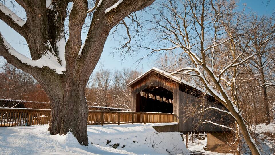 A wooden covered bridge with snow on the ground and trees.