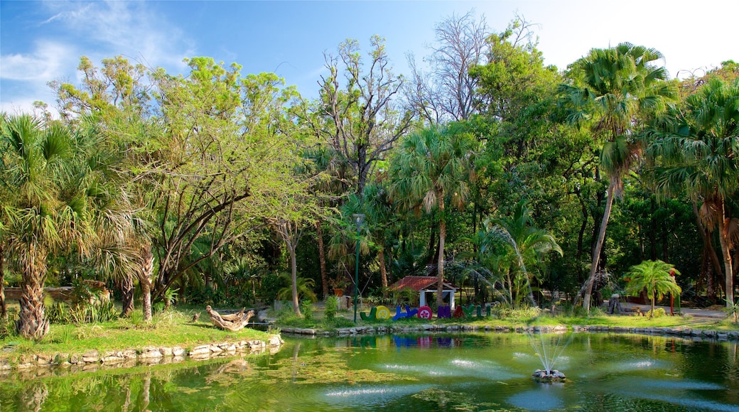 요요 마유 공원 이 포함 공원, 연못 과 분수