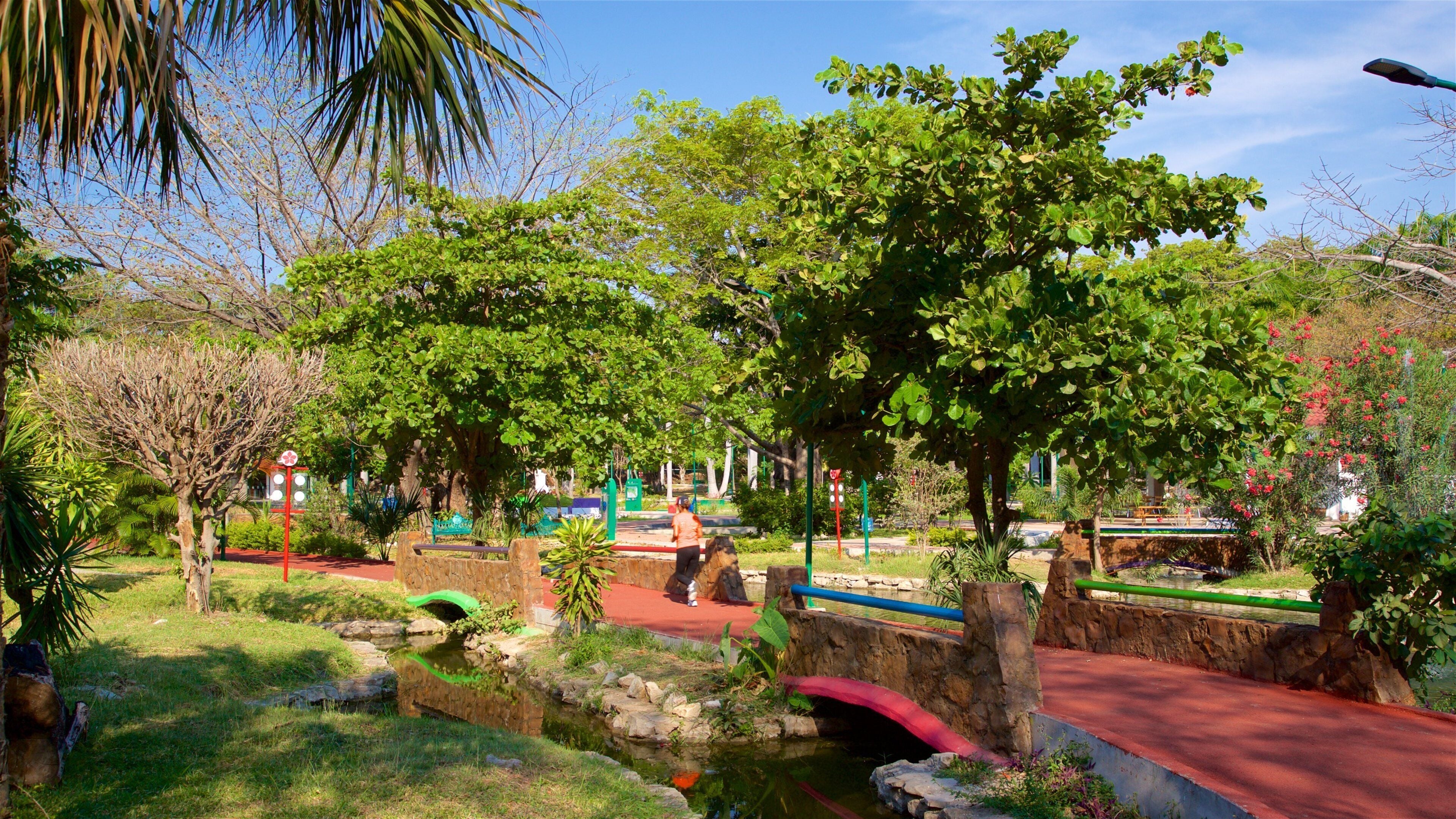 Joyyo Mayu Park featuring a park and a bridge