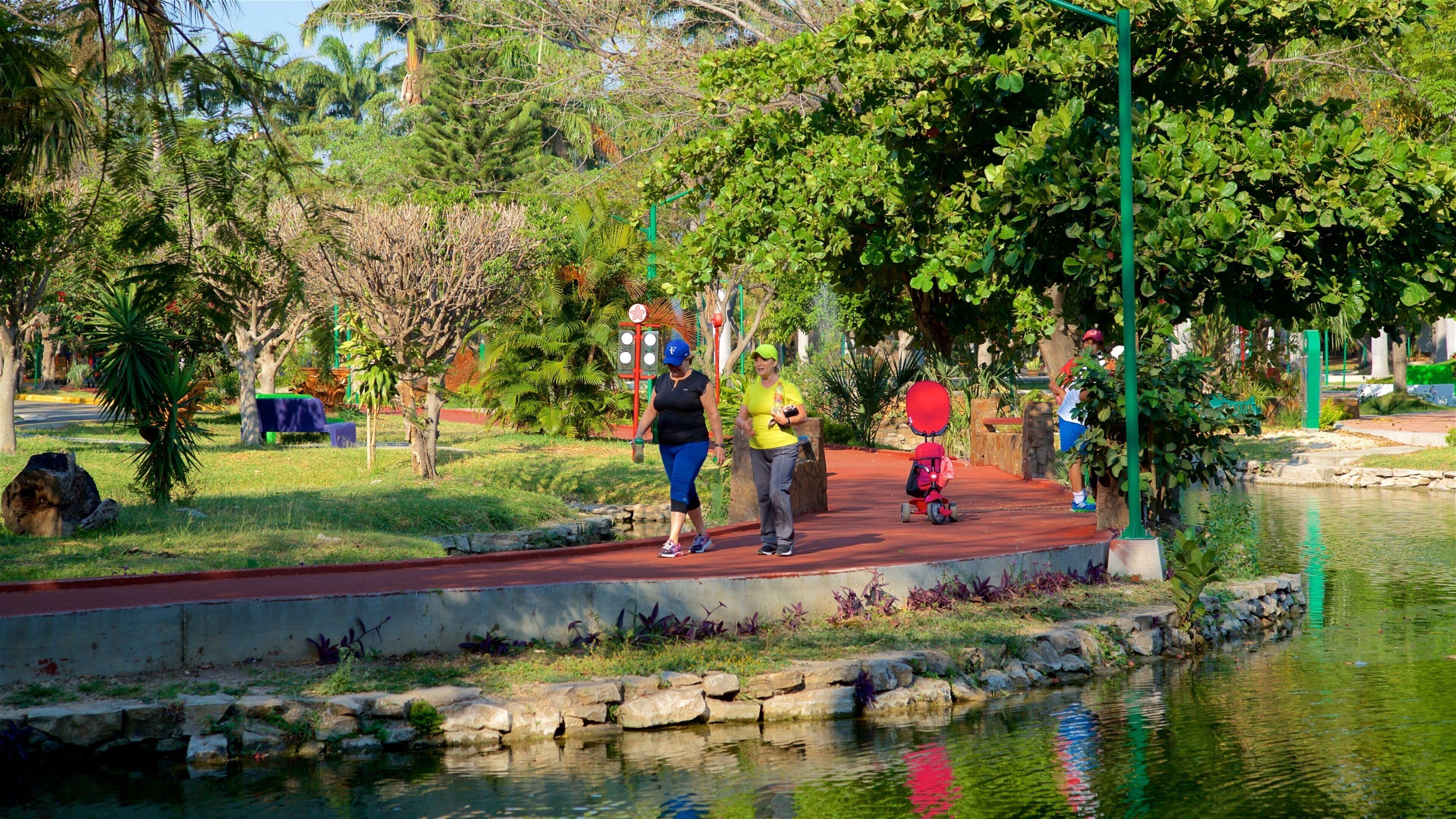 Joyyo Mayus park som inkluderar en park, vandring och en damm