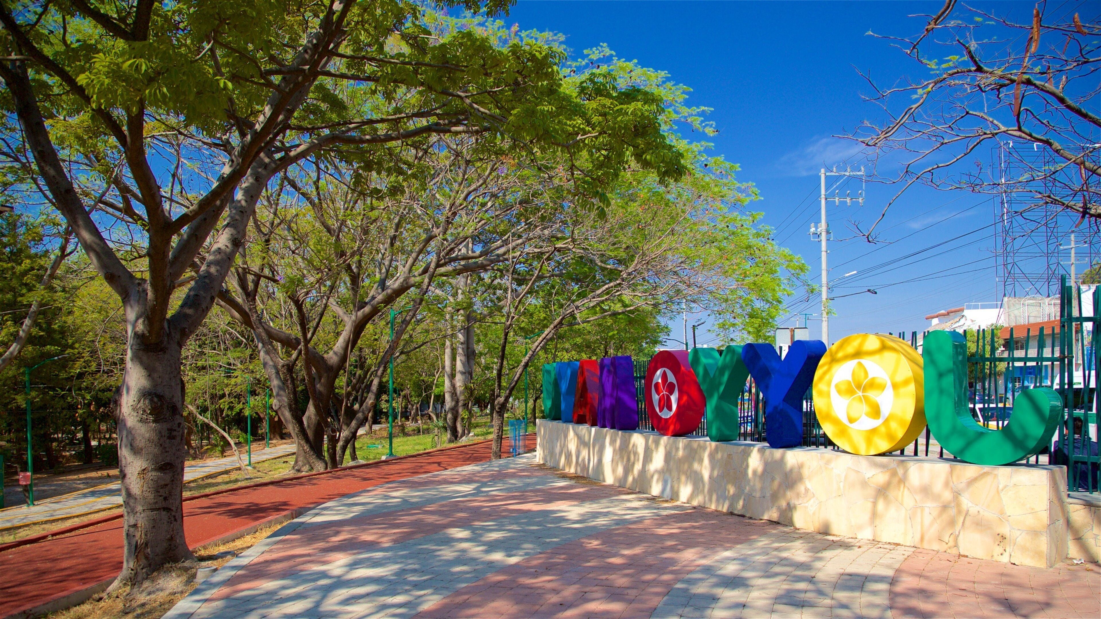 Uma passarela pavimentada, ladeada por bandeiras coloridas e árvores.