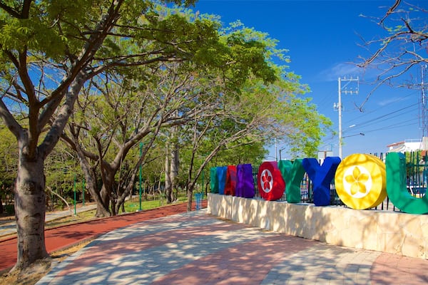 A paved walkway lined with colorful flags and trees.