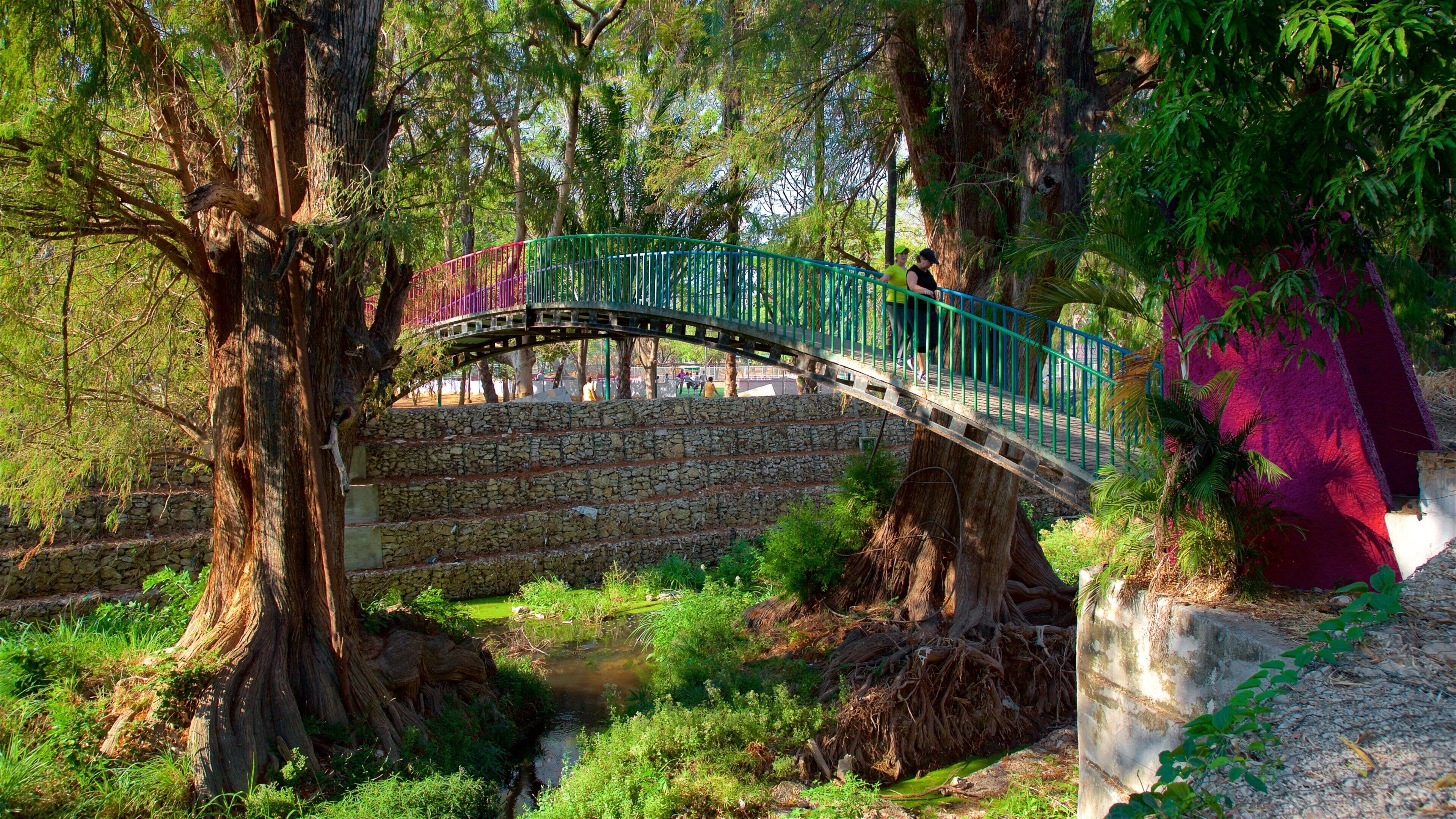 Joyyo Mayu Park showing a bridge and a garden