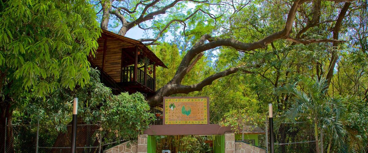 Dr. Faustino Miranda Botanical Garden showing a garden