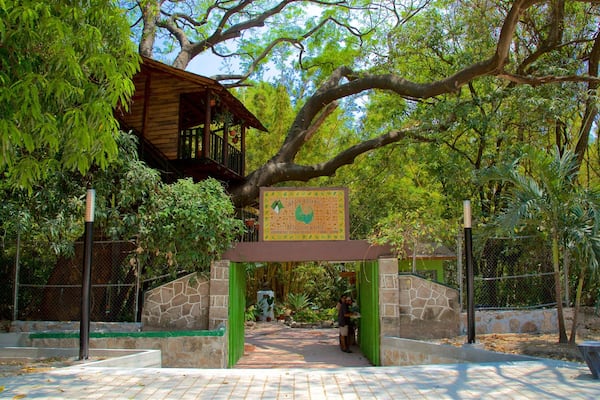 Jardin botanique du Docteur Faustino Miranda mettant en vedette parc