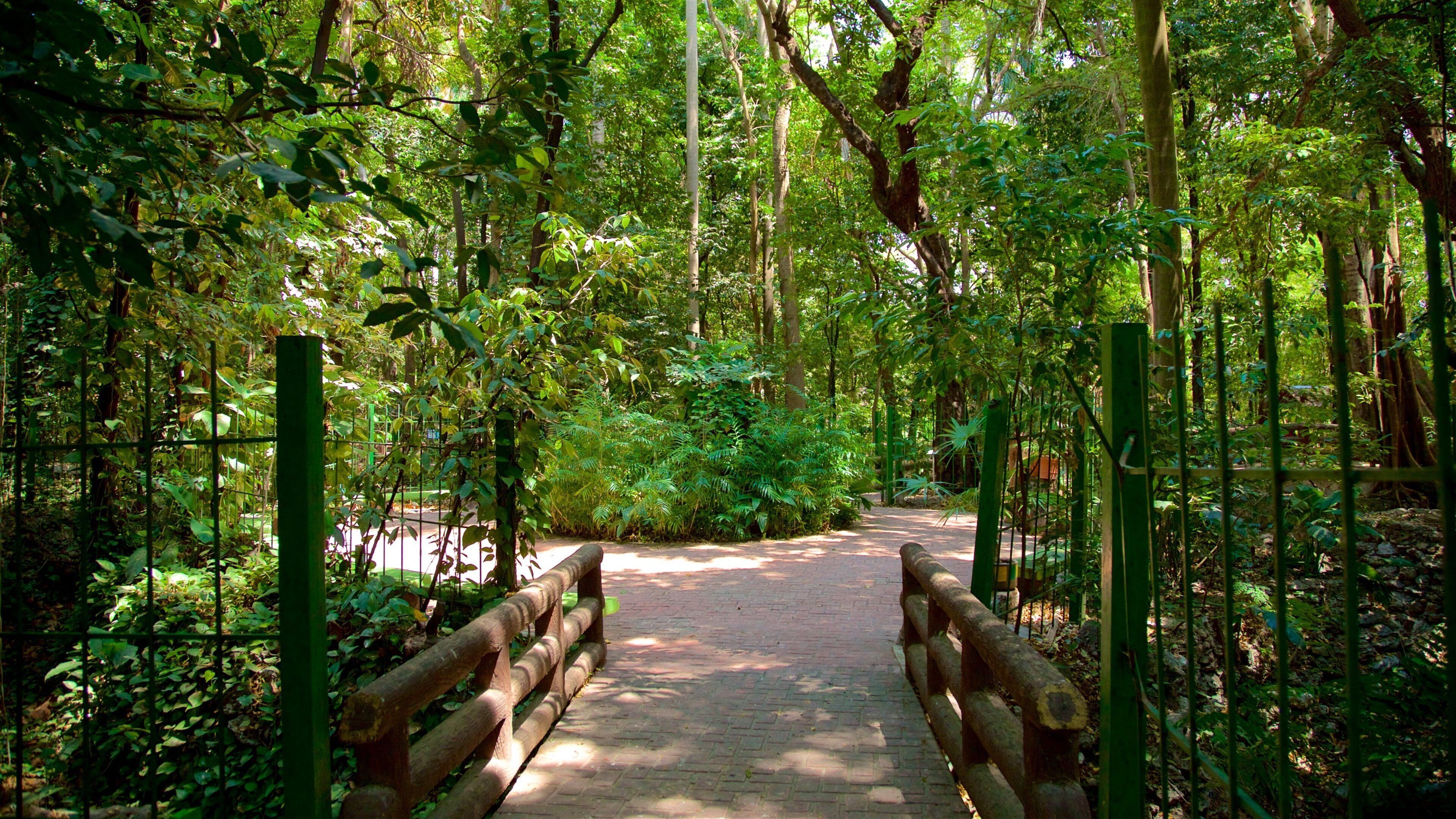 Dr. Faustino Miranda Botanical Garden which includes a garden