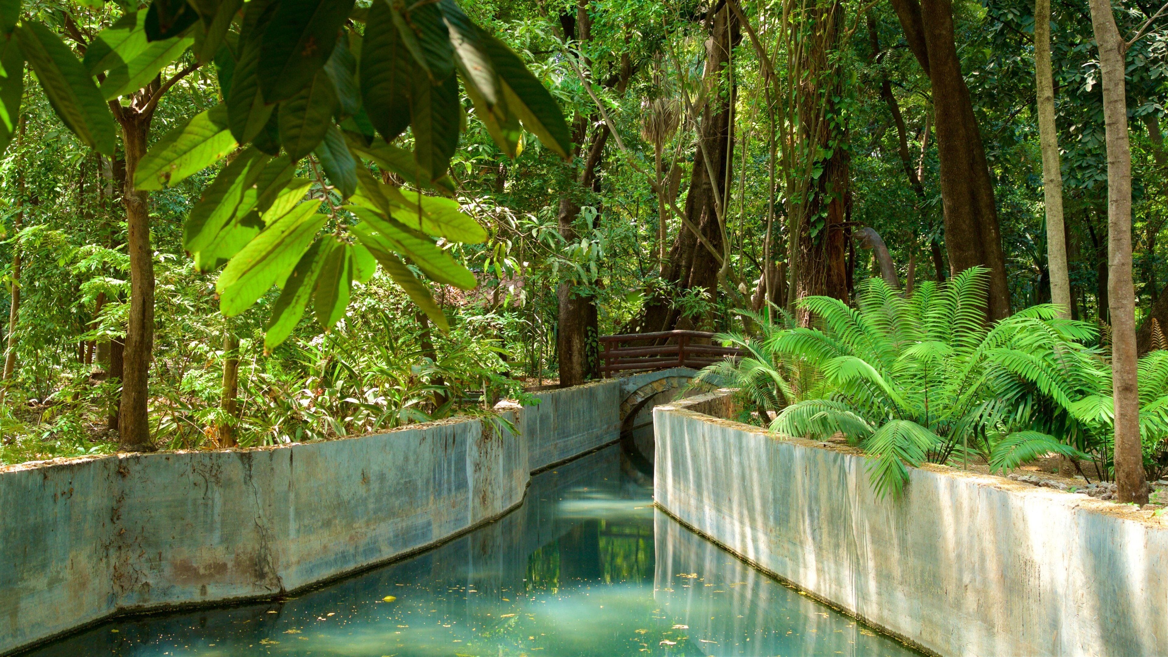Dr. Faustino Miranda Botanical Garden featuring a park and a river or creek