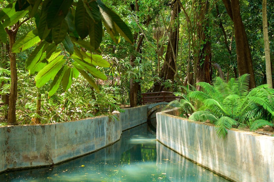 A concrete bridge over a calm waterway, surrounded by dense tropical foliage.