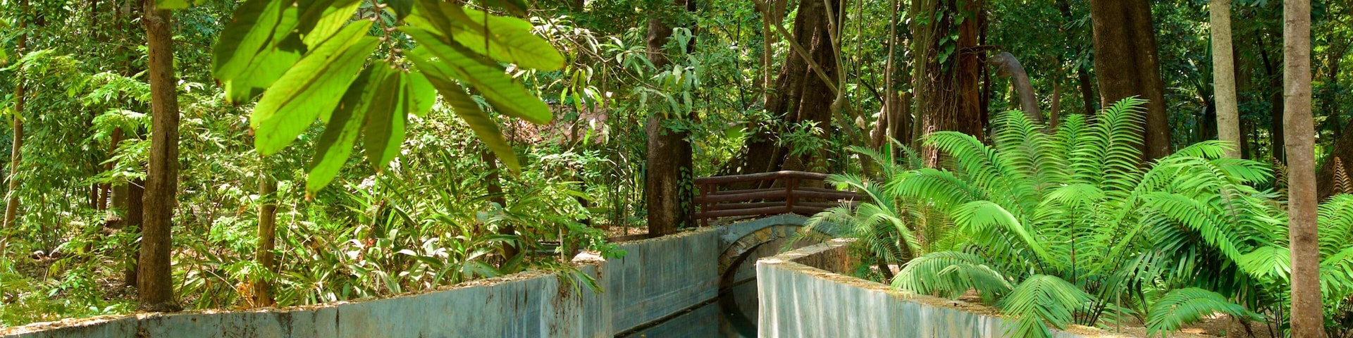 Jardim Botânico Dr. Faustino Miranda mostrando um parque e um rio ou córrego