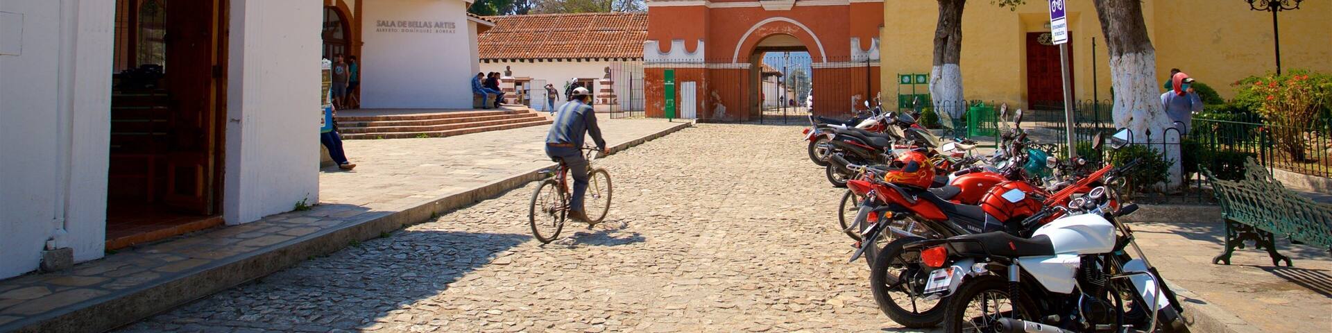 Una calle empedrada que conduce a un edificio histórico con un campanario.
