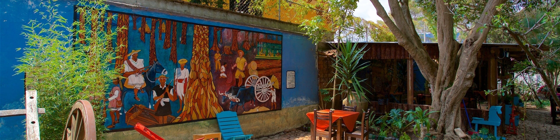 Na Bolom Cultural Museum showing outdoor art