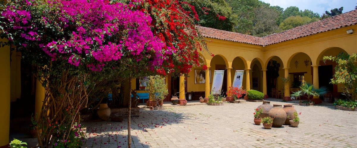 Na Bolom Cultural Museum which includes wildflowers