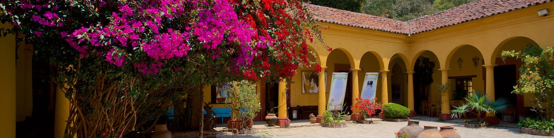 Na Bolom Cultural Museum