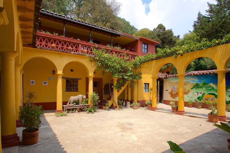 A courtyard with yellow walls, arches, and potted plants.