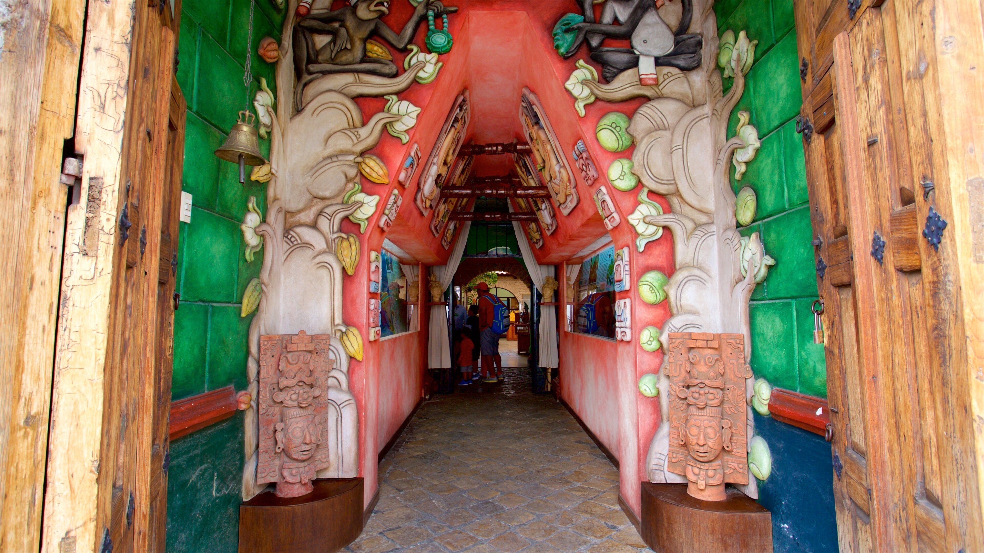 中美洲翡翠博物館 其中包括 內部景觀