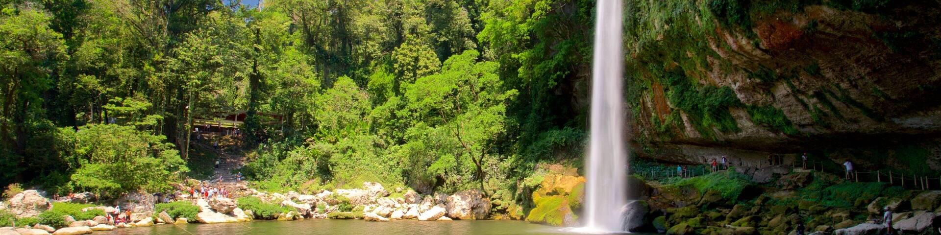 Une cascade se jetant dans un étang aux eaux limpides, entouré d’une végétation luxuriante et de falaises rocheuses.