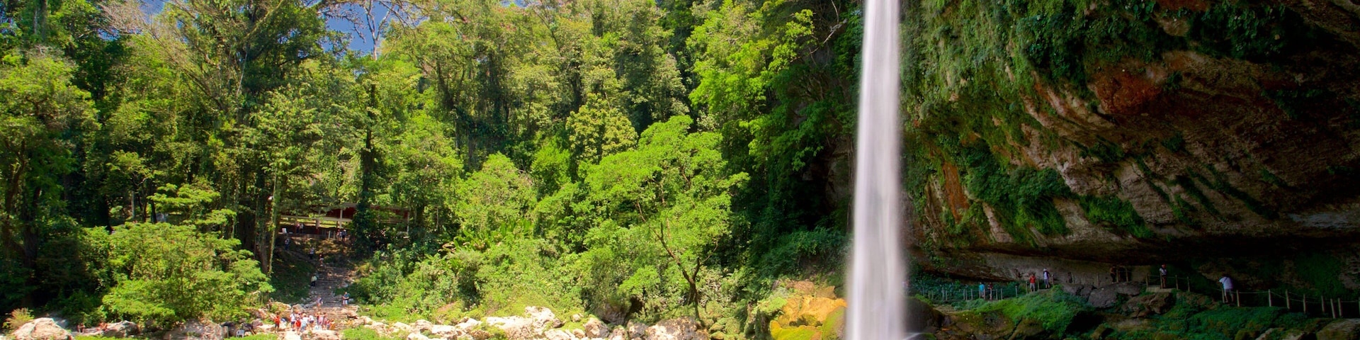Misol-Ha Waterfalls which includes a lake or waterhole and a waterfall