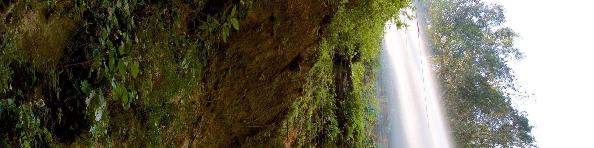 Misol-Ha Waterfalls which includes a cascade