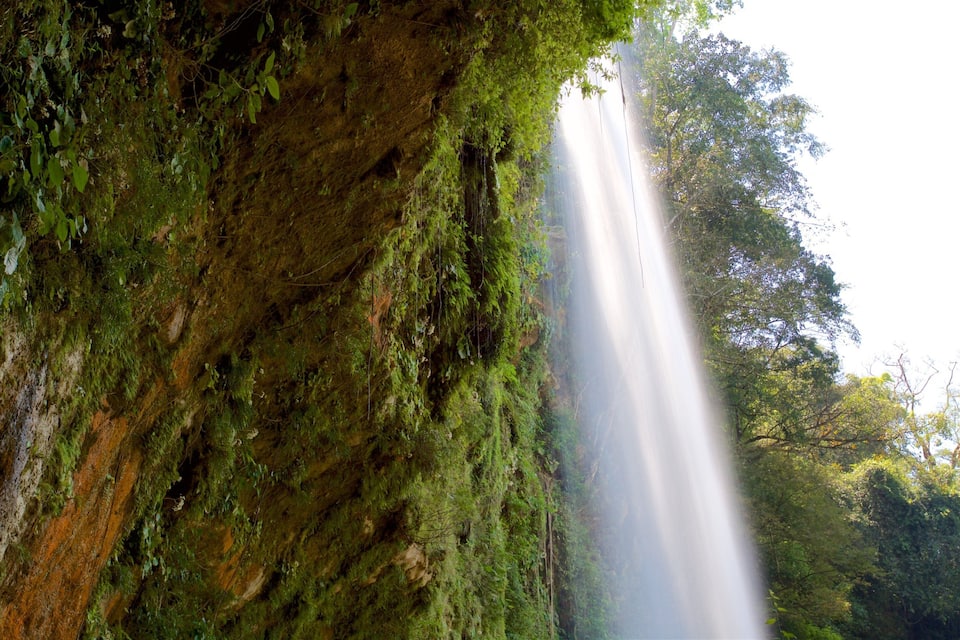A waterfall cascading down a moss-covered cliff surrounded by dense forest.