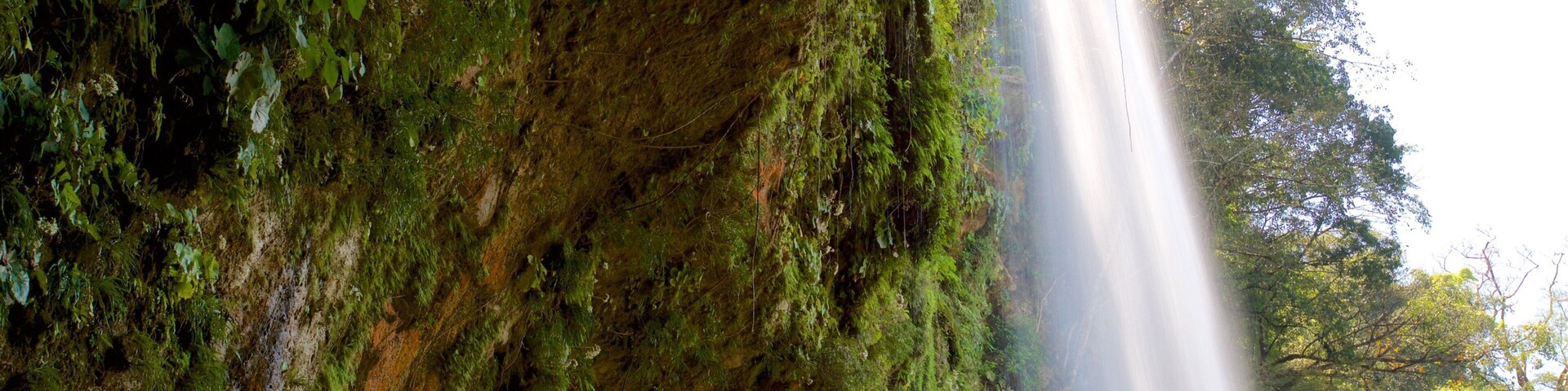 Misol-Ha Waterfalls which includes a cascade